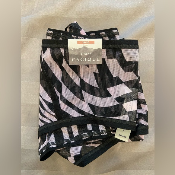 Lane Bryant Sheer Mesh Cheeky Panty - 18/20 - NWT - Picture 4 of 6